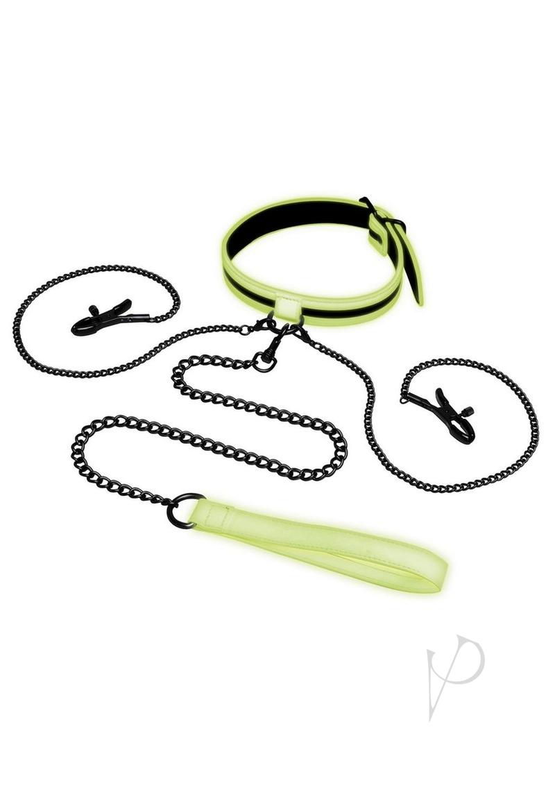Whipsmart Gitd Collar Nipple Clip Leash