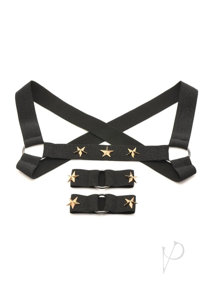 Ms Rave Chest Harness S/m Blk/gld