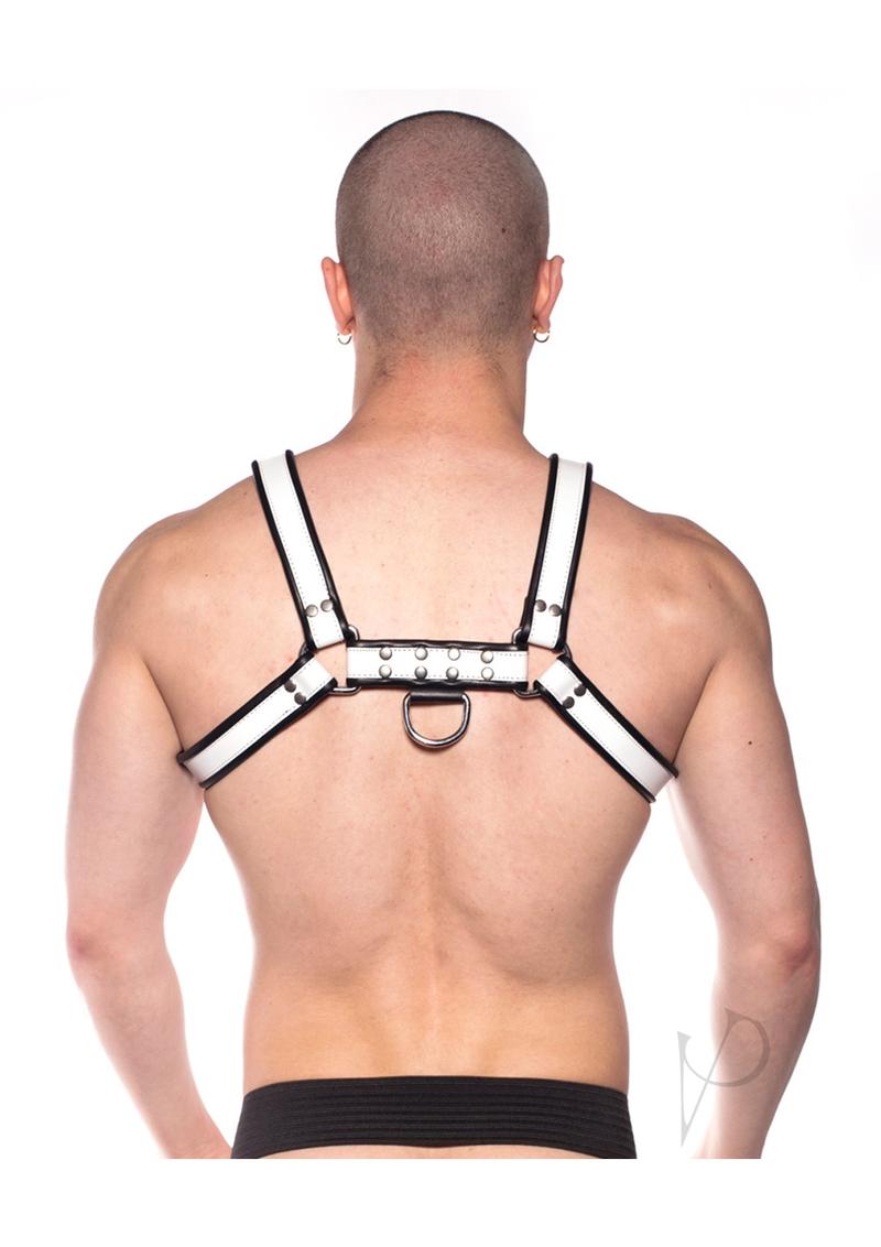 Prowler Red Bull Harness Bk/wht Sm(disc)
