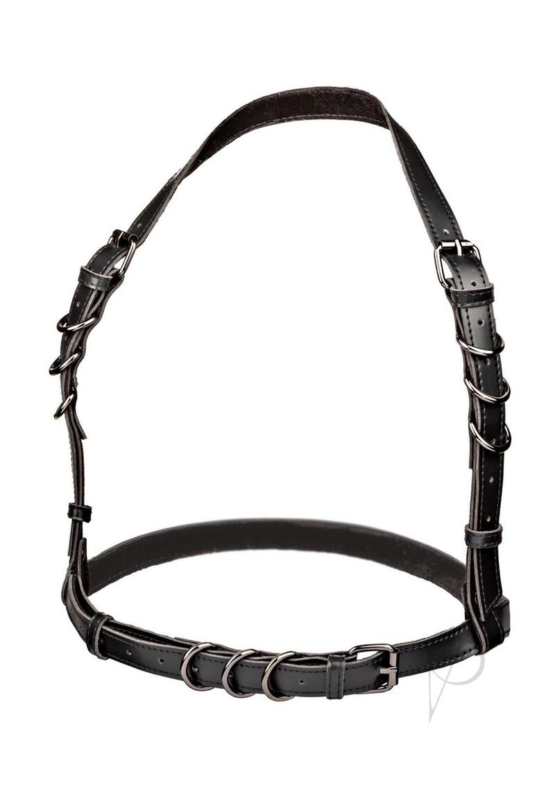 Euphoria Coll Ps Halter Buckl Harn(sale)